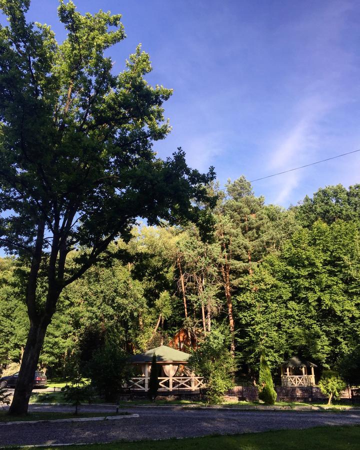 Solotvyno Resort Εξωτερικό φωτογραφία